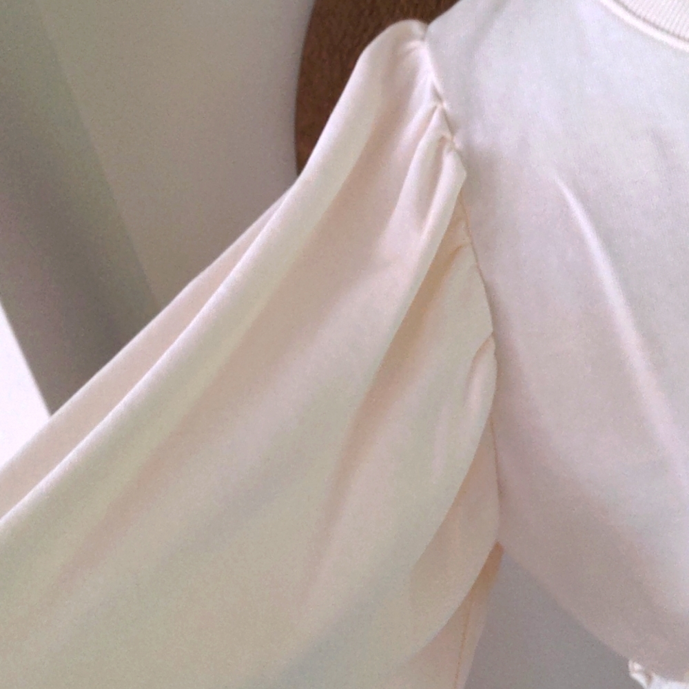 Zara Top - Picture 8 of 12